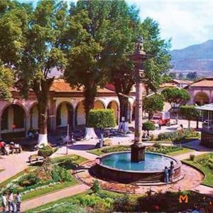 Meet your Posher, Rosalba